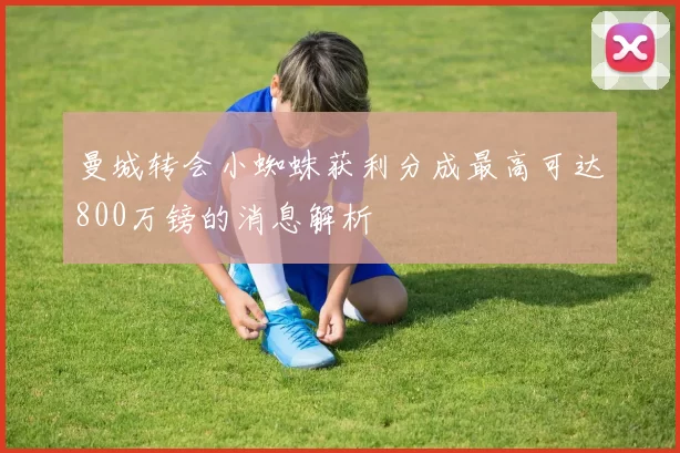 曼城转会小蜘蛛获利分成最高可达800万镑的消息解析